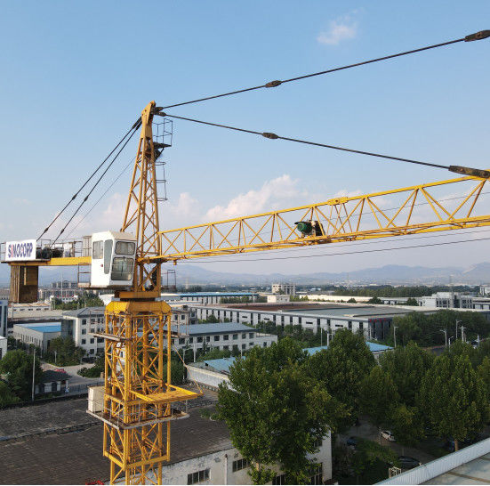 Site de construction Fondation fixe Grue de tour de type 8 tonnes